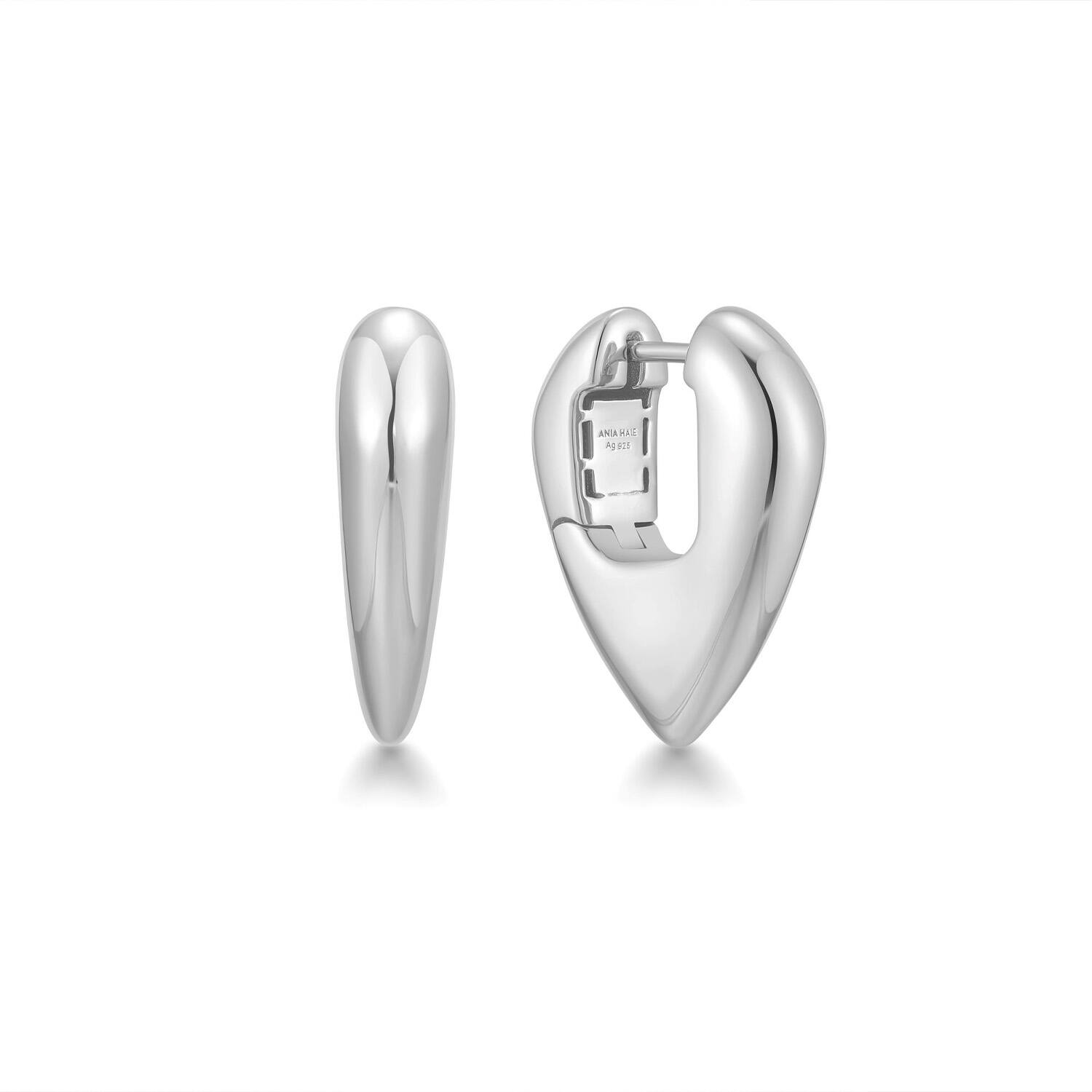  TRAILBLAZER - Oorhangers - Zilver / Gerodineerd - 2cm